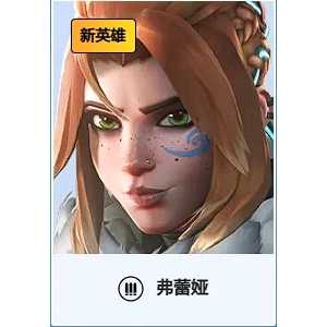 你是一名弗蕾雅玩家