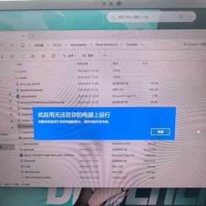 求助大佬，游戏打不开了