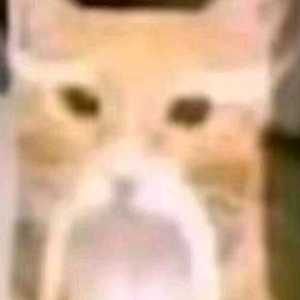 这个游戏有没有什么浅规矩和大家普遍讨厌的行为，求大家分享一下