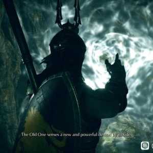为了备战明末玩了恶魔之魂