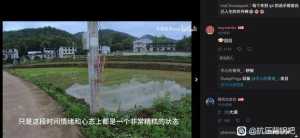 黄去也是带明星了