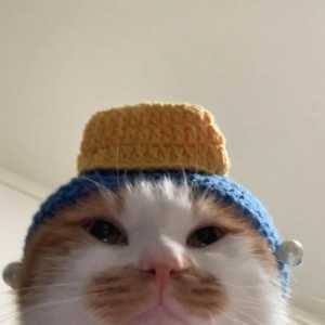 这白天和晚上的云顶是一个游戏吗