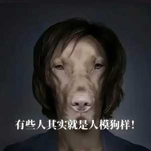 为啥每个游戏都有一堆哔哔赖赖的人？