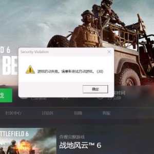 战地6游戏启动失败，你重新尝试启动游戏（30）