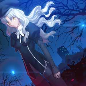 【Fate游戏】最新版中文简体免安装解压即可玩