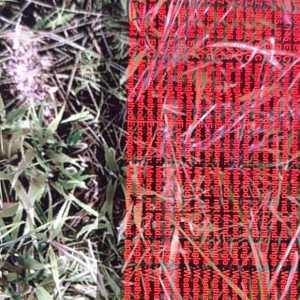 七日杀新版本进游戏一直报红字