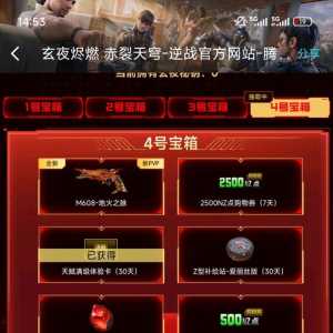 天耀皮肤，永夜迷航